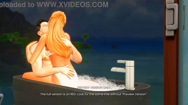 The First Night - 3d Hentai - Preview Version