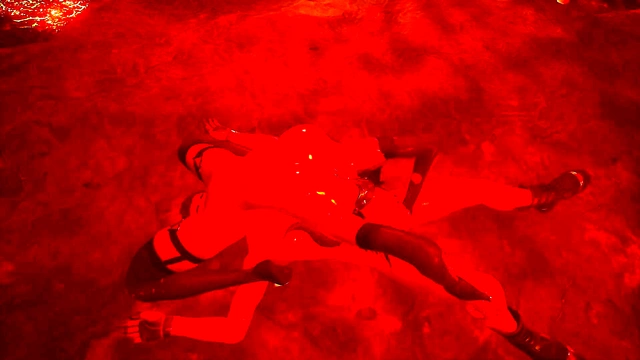 Duel With a Succubus [bookerdan] 3D Hentai