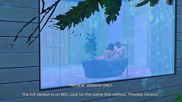 Captain's New Mission - 3d Hentai - Preview Version