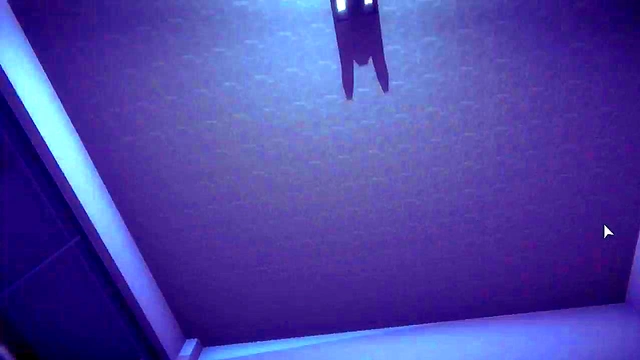 3D HS2 TWO BRUNETTE FUCK