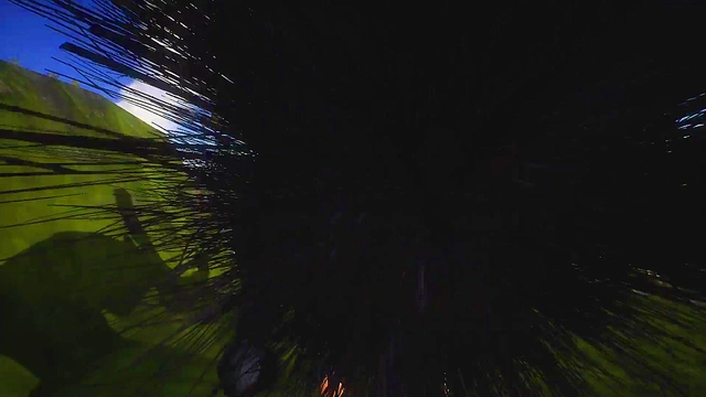 (3d Wild Life gameplay) Fox Girl 18+ plays with her wolf friend