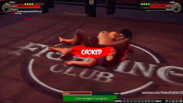 Helena VS Leticia (Naked Fighter 3D)