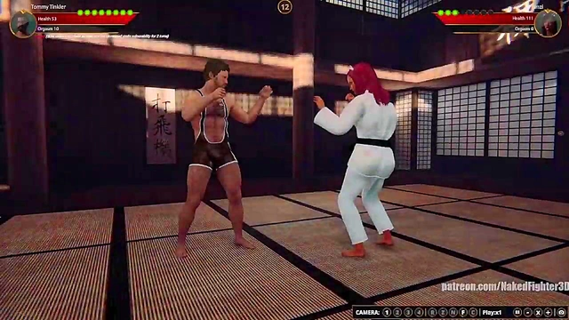 Tommy Tinkler VS Franzi (Naked Fighter 3D)