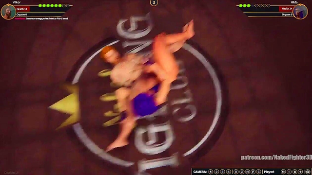 Terms VS Hilda (Naked Fighter 3D)