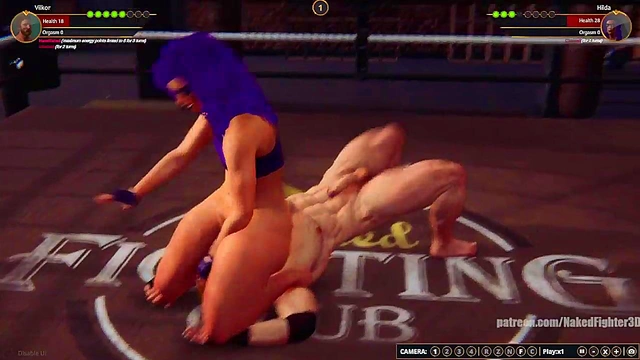 Terms VS Hilda (Naked Fighter 3D)
