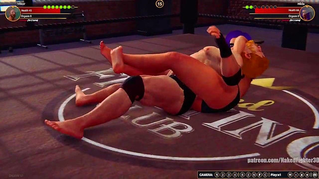 Terms VS Hilda (Naked Fighter 3D)