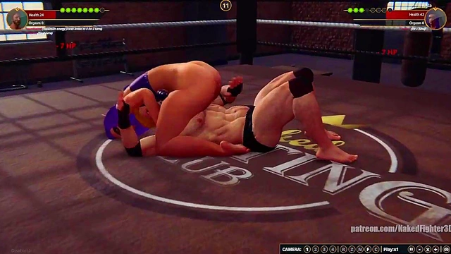 Terms VS Hilda (Naked Fighter 3D)