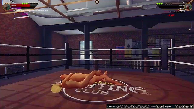 Shaera vs. Aydan (Naked Fighter 3D)