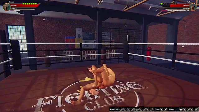 Shaera vs. Aydan (Naked Fighter 3D)