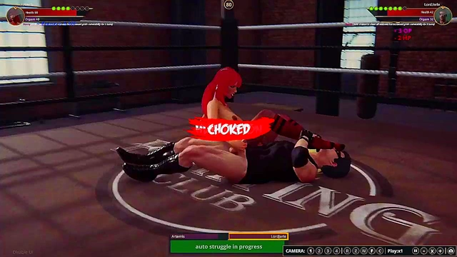 Artemis VS LordJerle (Naked Fighter 3D)