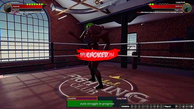 Lacey Punk VS David764 (Naked Fighter 3D)