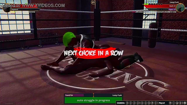 Lacey Punk VS David764 (Naked Fighter 3D)