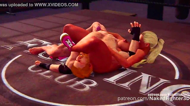 Terms VS Felicity (Naked Fighter 3D)