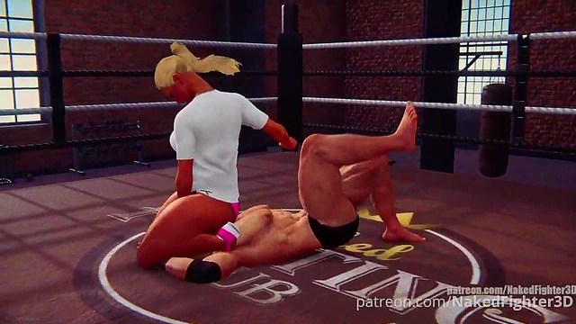 Terms VS Felicity (Naked Fighter 3D)