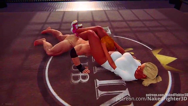 Terms VS Felicity (Naked Fighter 3D)