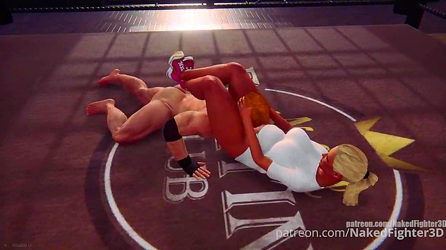 Terms VS Felicity (Naked Fighter 3D)