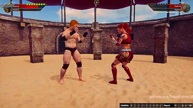 Terms VS Sedna (Naked Fighter 3D)