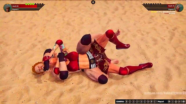 Terms VS Sedna (Naked Fighter 3D)