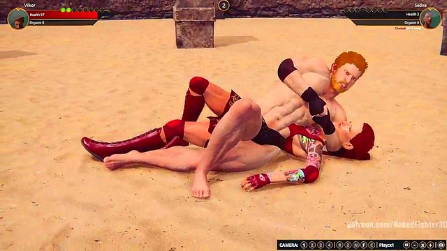 Terms VS Sedna (Naked Fighter 3D)