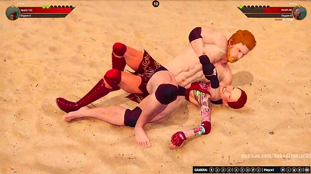 Terms VS Sedna (Naked Fighter 3D)