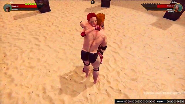 Terms VS Sedna (Naked Fighter 3D)