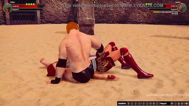 Terms VS Sedna (Naked Fighter 3D)