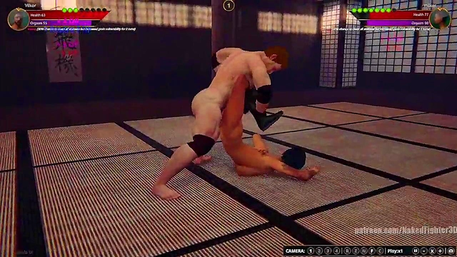 Vilkor VS Milker (Naked Fighter 3D)