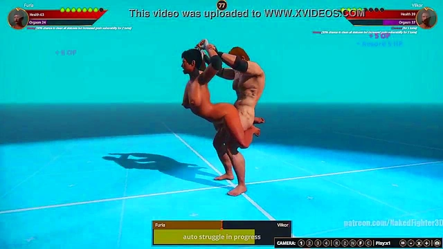 Furia VS Terms (Naked Fighter 3D)