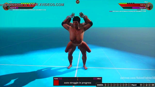 Furia VS Terms (Naked Fighter 3D)