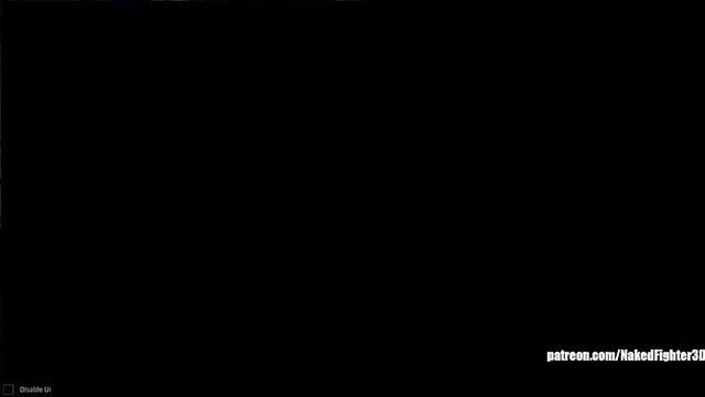 Terms VS Rilie (Naked Fighter 3D)