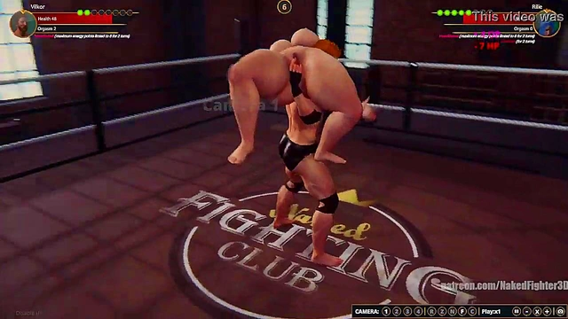 Terms VS Rilie (Naked Fighter 3D)