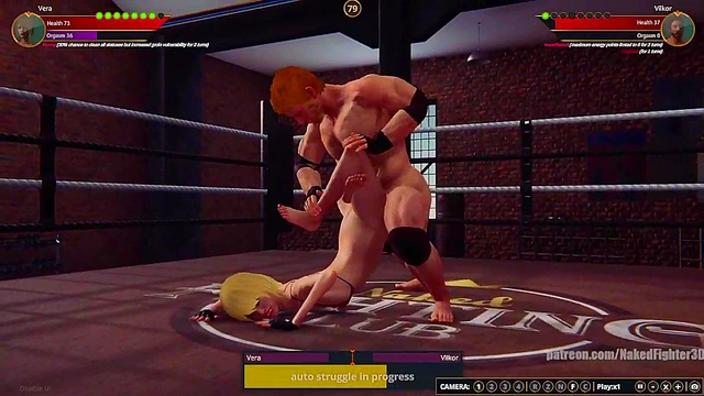 Vera VS Terms (Naked Fighter 3D)