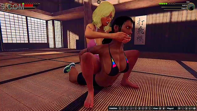 Faye vs. Dela (Naked Fighter 3D)