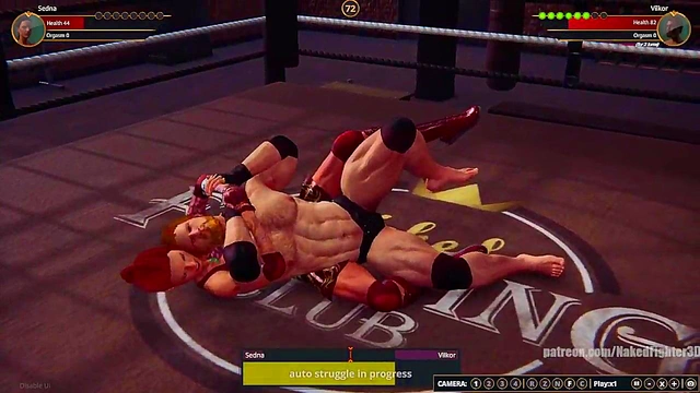 Sedna VS Terms (Naked Fighter 3D)