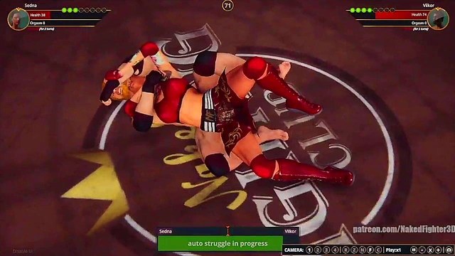 Sedna VS Terms (Naked Fighter 3D)