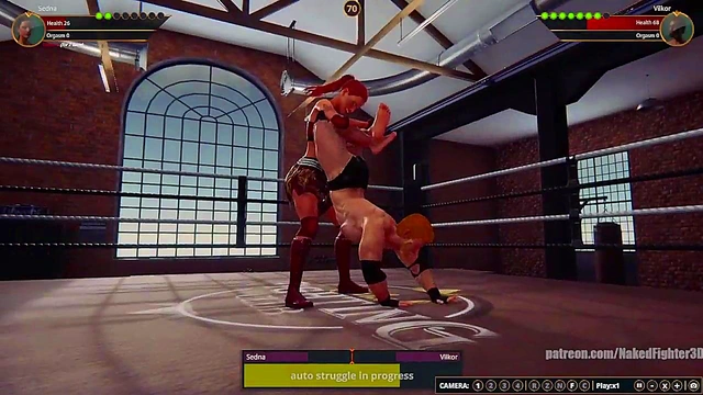 Sedna VS Terms (Naked Fighter 3D)