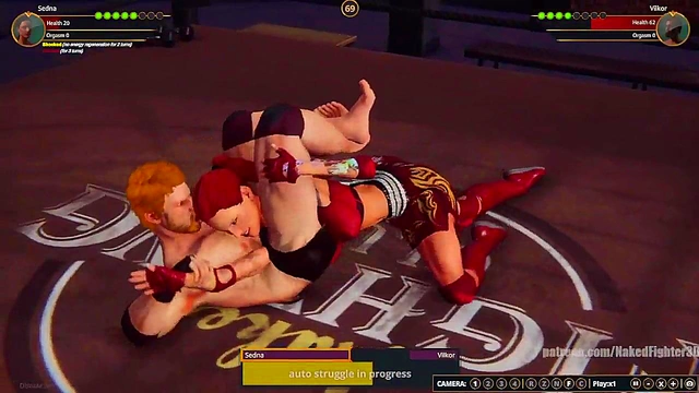 Sedna VS Terms (Naked Fighter 3D)