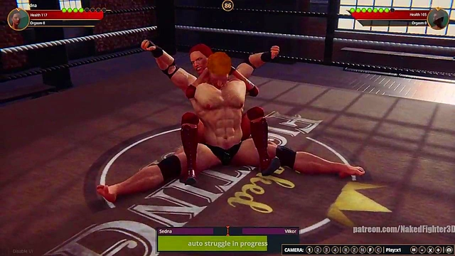 Sedna VS Terms (Naked Fighter 3D)