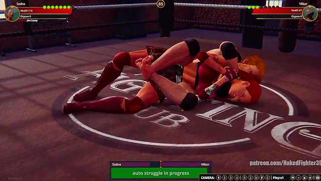 Sedna VS Terms (Naked Fighter 3D)