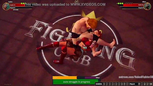 Sedna VS Terms (Naked Fighter 3D)