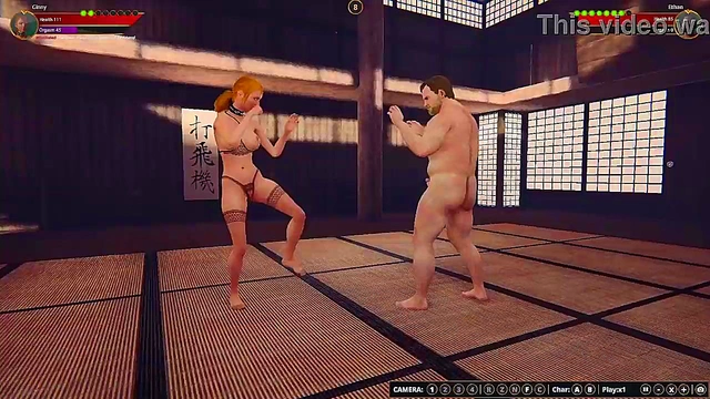 Ethan vs. Ginny II (Naked Fighter 3D)