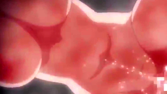 Hentai 3 gostosas e 1 garoto