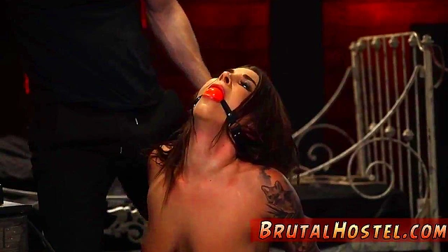 hentai bondage Excited youthfull tourists Felicity Feline and Jade