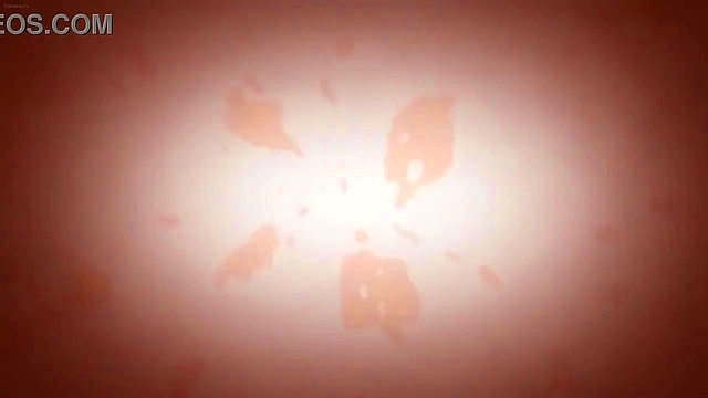 Top best Hentai furro