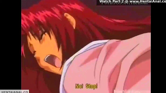 Hentai Gets Anal For First TIme