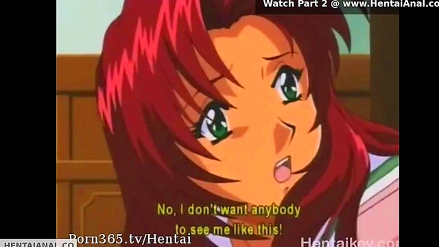 Hentai Gets Anal For First TIme