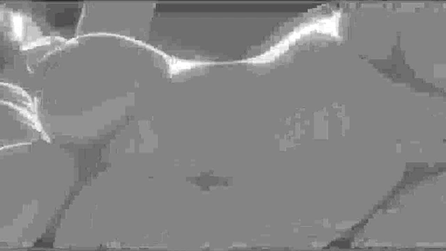 [Uncensored HMV] - Pulsate