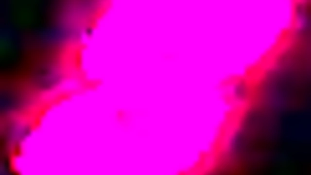 Titties in Tekken - Nude mod for Tekken 8