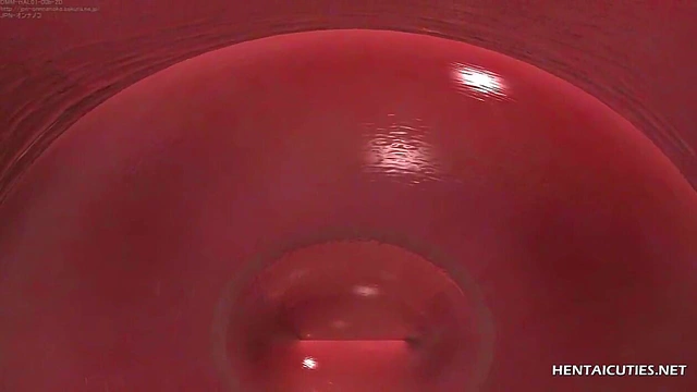 Brunette hentai teen with amazing big tits gets her wet pussy fucked hard