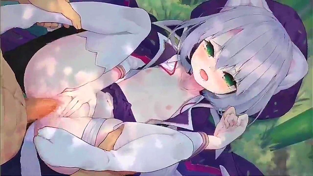 Hentai anime Cat girl'porn video 2D animation